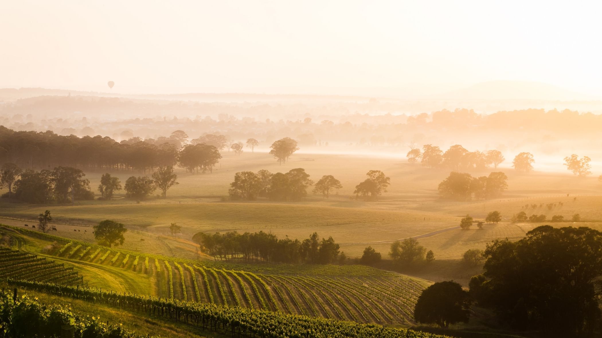 Ray White Rural & Livestock • Clearing Sales